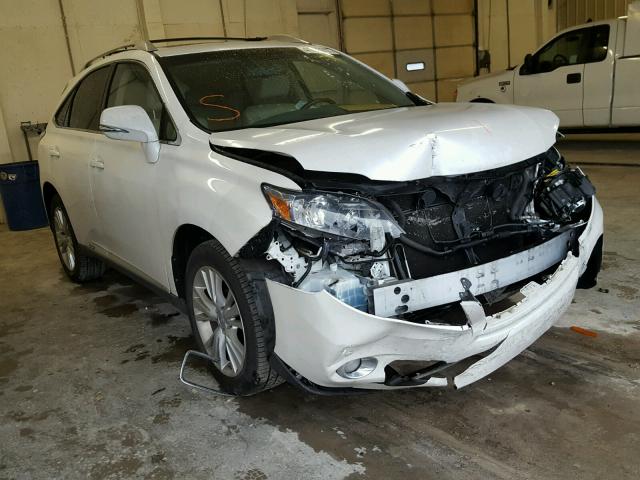 JTJBC1BA0A2407962 - 2010 LEXUS RX 450 WHITE photo 1