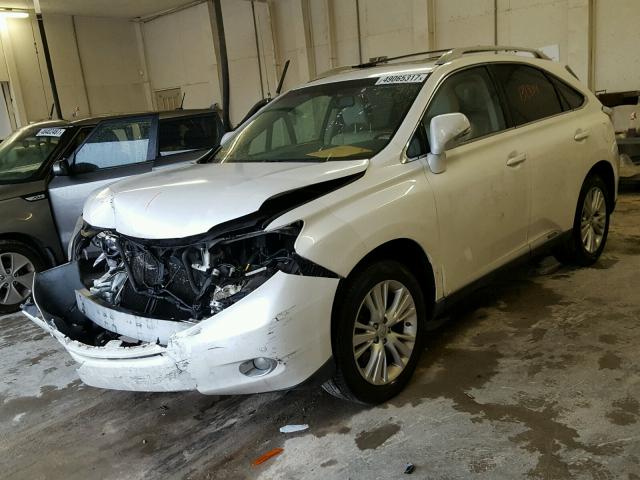 JTJBC1BA0A2407962 - 2010 LEXUS RX 450 WHITE photo 2