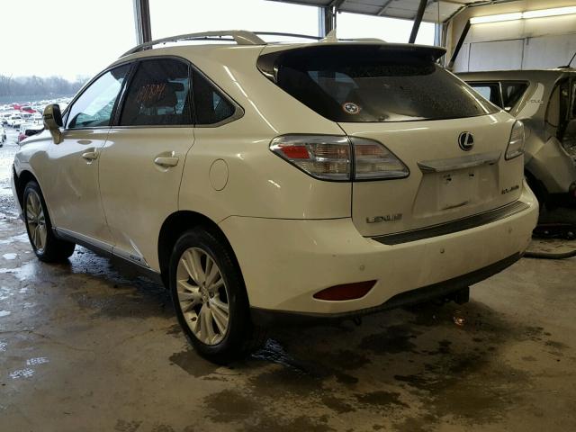 JTJBC1BA0A2407962 - 2010 LEXUS RX 450 WHITE photo 3