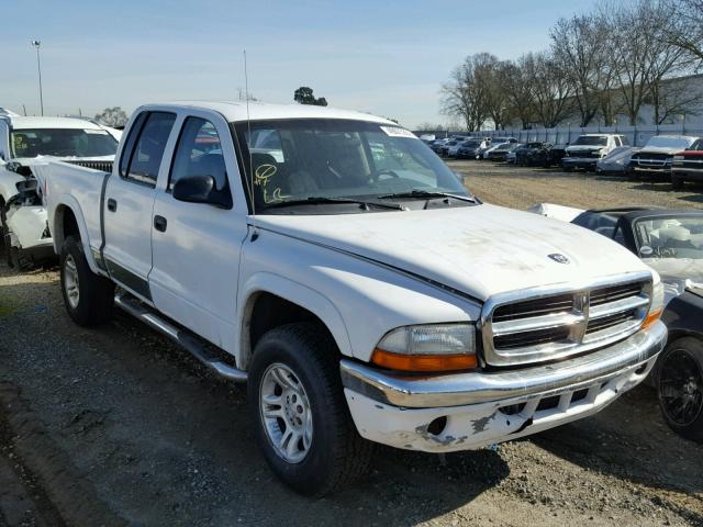 1D7HG48N04S717777 - 2004 DODGE DAKOTA QUA WHITE photo 1