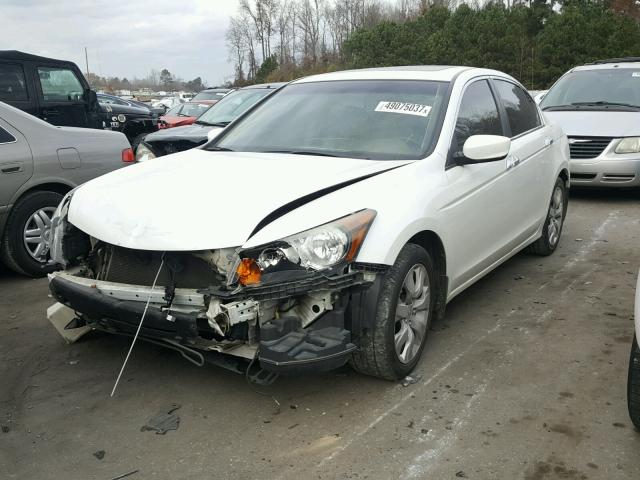 1HGCP36888A028658 - 2008 HONDA ACCORD EXL WHITE photo 2