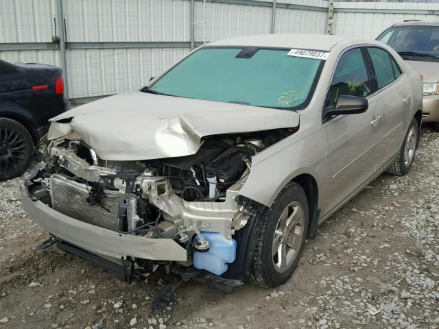 1G11B5SL8EF300661 - 2014 CHEVROLET MALIBU LS 金色 照片 2