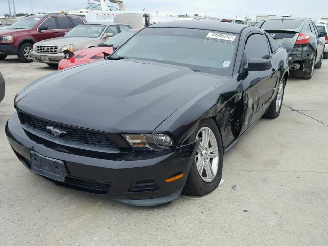 1ZVBP8AM2B5135360 - 2011 FORD MUSTANG BLACK photo 2