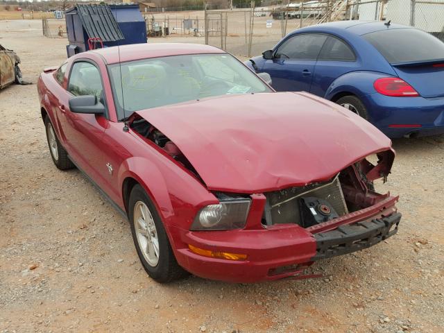 1ZVHT80N195113604 - 2009 FORD MUSTANG RED photo 1