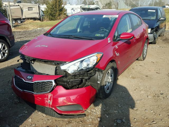 KNAFK4A69G5511232 - 2016 KIA FORTE LX RED photo 2