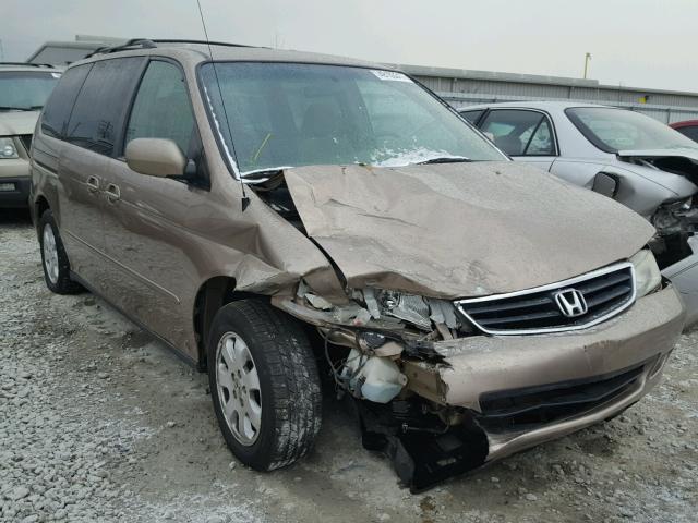 5FNRL18653B111310 - 2003 HONDA ODYSSEY EX TAN photo 1