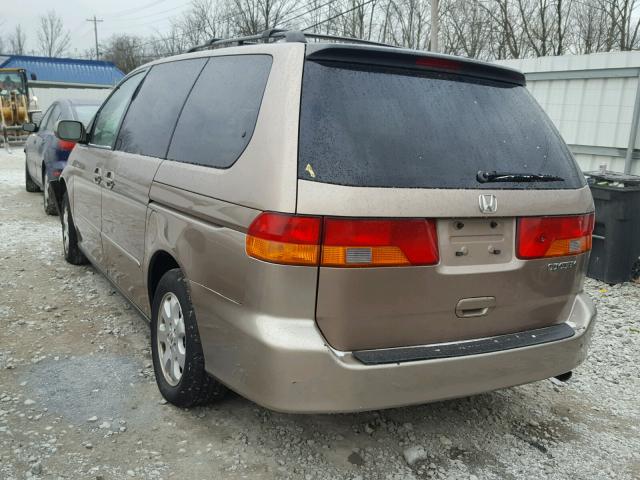 5FNRL18653B111310 - 2003 HONDA ODYSSEY EX TAN photo 3