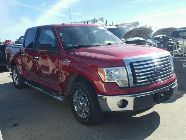 1FTEW1C80AFC61736 - 2010 FORD F150 SUPER RED photo 1