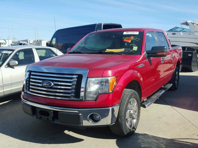 1FTEW1C80AFC61736 - 2010 FORD F150 SUPER RED photo 2