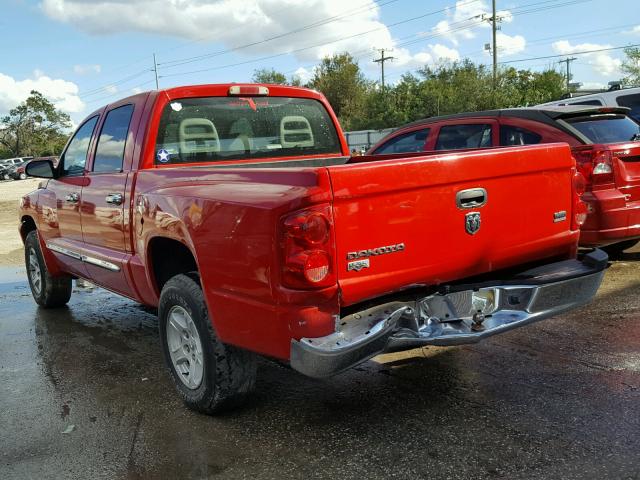 1D7HE58N86S501609 - 2006 DODGE DAKOTA QUA RED photo 3