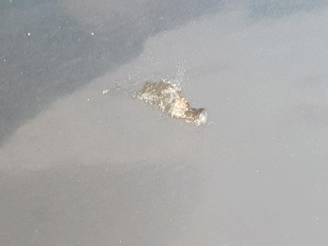 1G1ZH57B59F231399 - 2009 CHEVROLET MALIBU 1LT GRAY photo 10