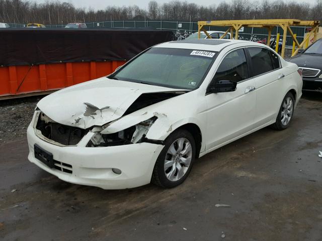 1HGCP3F83AA002510 - 2010 HONDA ACCORD EXL WHITE photo 2