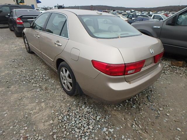 1HGCM66575A024628 - 2005 HONDA ACCORD EX TAN photo 3