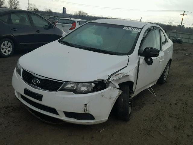 KNAFU4A29C5531580 - 2012 KIA FORTE EX WHITE photo 2