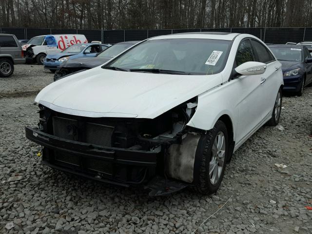 5NPEC4AC2DH726058 - 2013 HYUNDAI SONATA SE WHITE photo 2