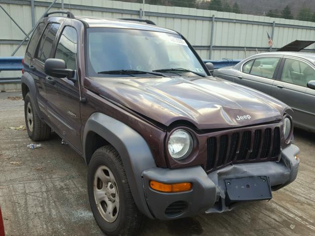 1J4GL48K14W284934 - 2004 JEEP LIBERTY SP PURPLE photo 1