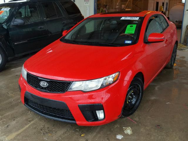 KNAFW6A31D5654807 - 2013 KIA FORTE SX RED photo 2