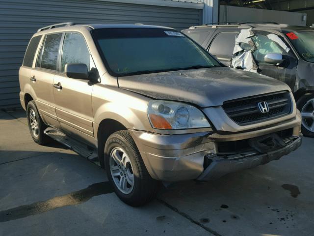 2HKYF18675H511053 - 2005 HONDA PILOT EXL TAN photo 1