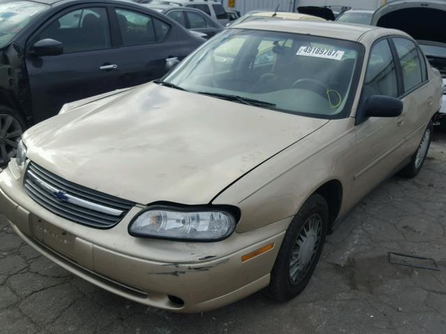 1G1ND52J42M684231 - 2002 CHEVROLET MALIBU GOLD photo 2