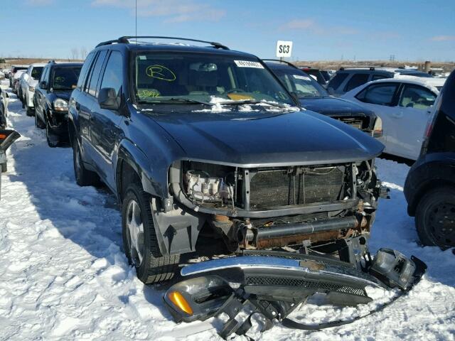 1GNDT13S972254081 - 2007 CHEVROLET TRAILBLAZE GRAY photo 1