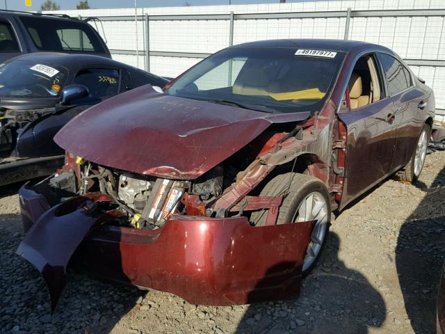 1N4AA5AP5BC803811 - 2011 NISSAN MAXIMA S MAROON photo 2