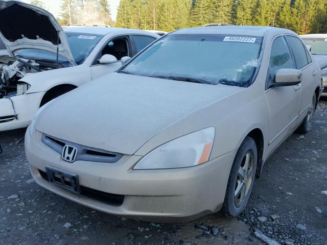 1HGCM56825A010639 - 2005 HONDA ACCORD EX TAN photo 2