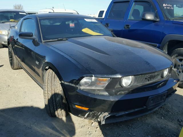 1ZVBP8CH9A5177054 - 2010 FORD MUSTANG GT BLACK photo 1