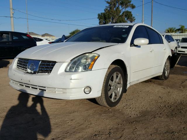 1N4BA41E04C841236 - 2004 NISSAN MAXIMA SE WHITE photo 2