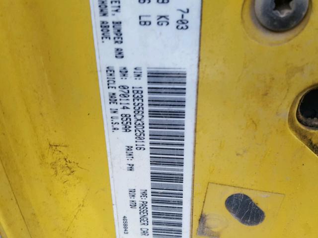 1B3ES56CX3D250116 - 2003 DODGE NEON SXT YELLOW photo 10