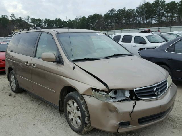 5FNRL18644B000278 - 2004 HONDA ODYSSEY EX GOLD photo 1