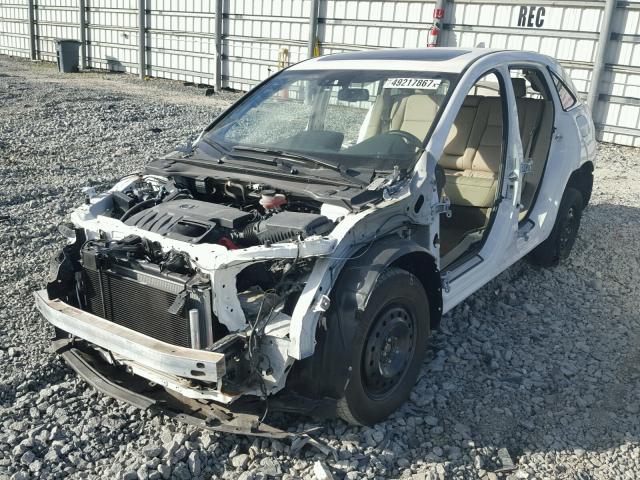 5J8TB4H76GL000451 - 2016 ACURA RDX ADVANC WHITE photo 2