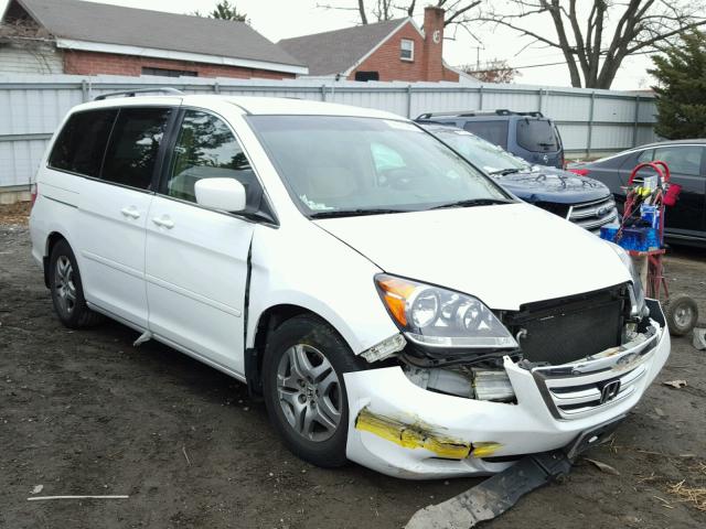 5FNRL38425B411612 - 2005 HONDA ODYSSEY EX WHITE photo 1