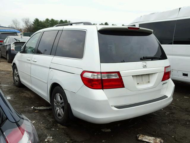 5FNRL38425B411612 - 2005 HONDA ODYSSEY EX WHITE photo 3