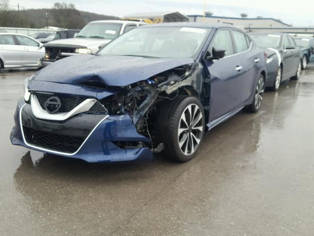 1N4AA6AP2HC453598 - 2017 NISSAN MAXIMA 3.5 BLUE photo 2