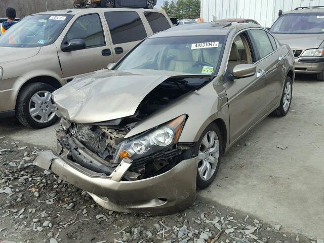 5KBCP368X9B502134 - 2009 HONDA ACCORD EXL GOLD photo 2