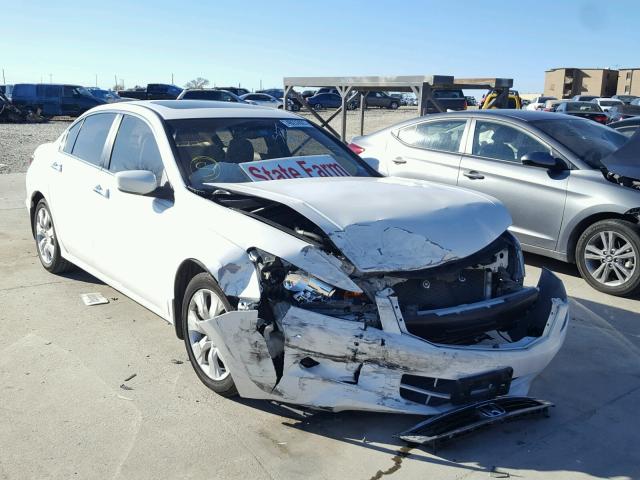 5KBCP3F81AB004473 - 2010 HONDA ACCORD EXL WHITE photo 1