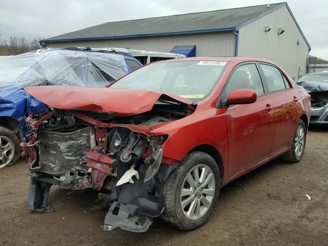 2T1BU40E69C003262 - 2009 TOYOTA COROLLA BA RED photo 2