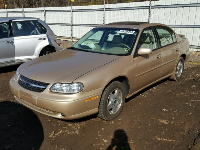 1G1NE52J03M576543 - 2003 CHEVROLET MALIBU LS GOLD photo 2