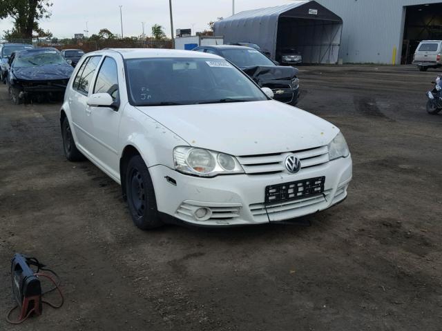 9BWEL41J184019243 - 2008 VOLKSWAGEN CITY GOLF WHITE photo 1