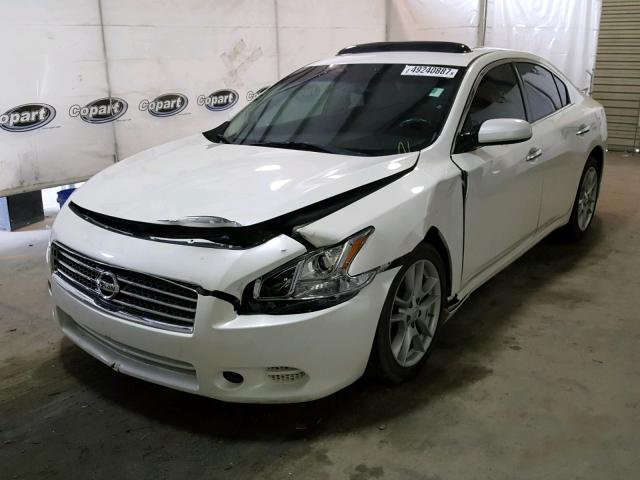 1N4AA5AP1AC874079 - 2010 NISSAN MAXIMA S WHITE photo 2