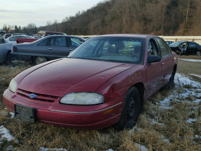 2G1WL52M5S1165301 - 1995 CHEVROLET LUMINA MAROON photo 2