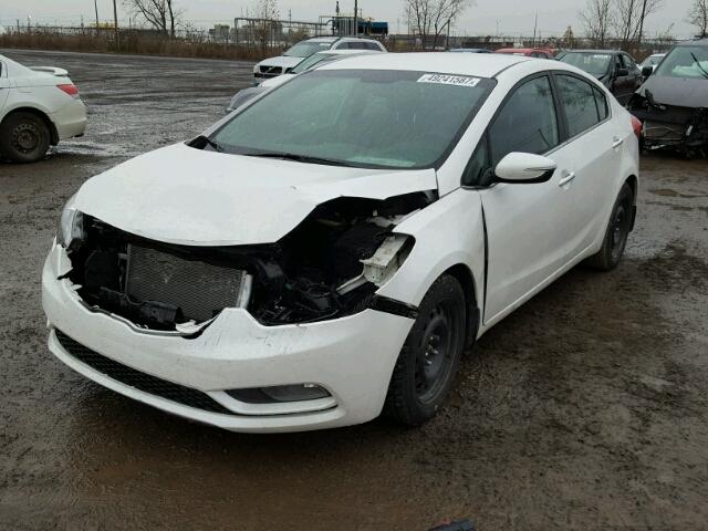 KNAFX4A81G5528562 - 2016 KIA FORTE EX WHITE photo 2