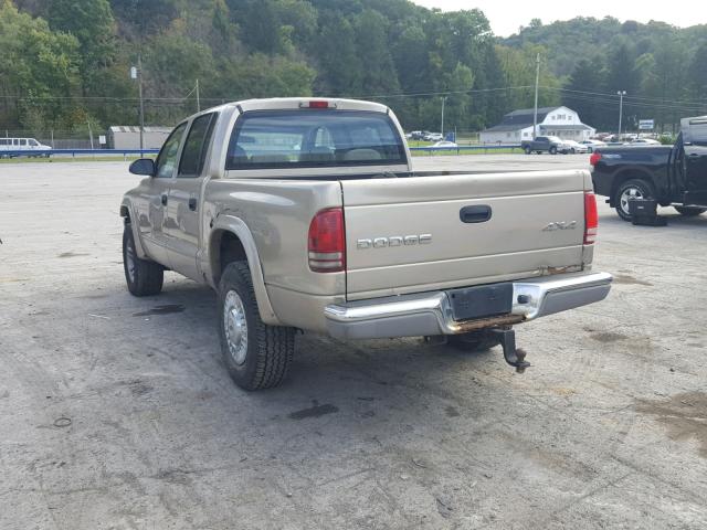 1D7HG48N03S345145 - 2003 DODGE DAKOTA QUA GOLD photo 3