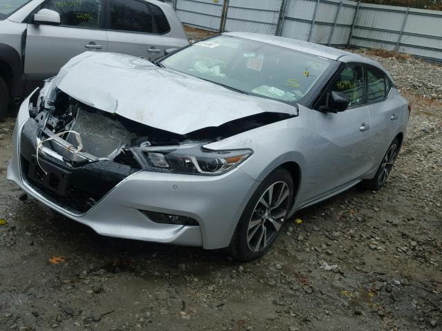 1N4AA6AP8HC441410 - 2017 NISSAN MAXIMA 3.5 SILVER photo 2