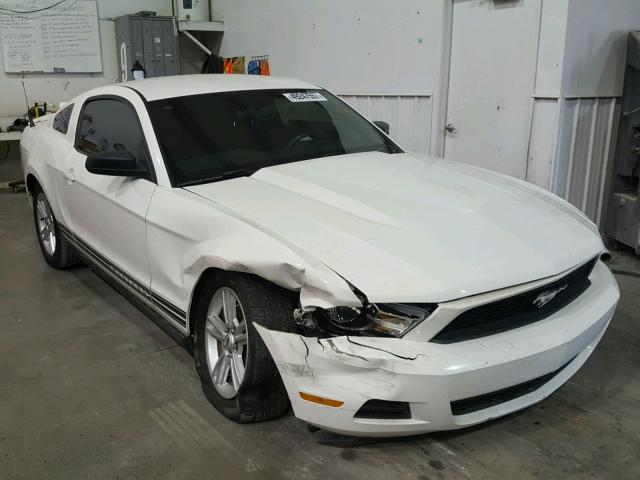 1ZVBP8AM9C5283586 - 2012 FORD MUSTANG WHITE photo 1