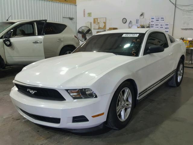 1ZVBP8AM9C5283586 - 2012 FORD MUSTANG WHITE photo 2