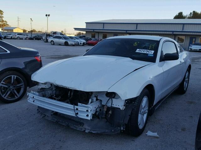 1ZVBP8AM9C5258803 - 2012 FORD MUSTANG WHITE photo 2