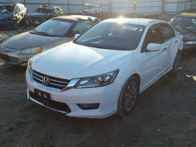 1HGCR2F5XDA272364 - 2013 HONDA ACCORD SPO WHITE photo 2