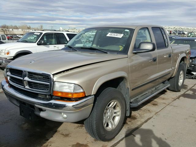 1D7HG48N03S265313 - 2003 DODGE DAKOTA QUA GOLD photo 2