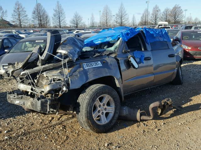 1D7RW3GK3BS589573 - 2011 DODGE DAKOTA SLT GRAY photo 2